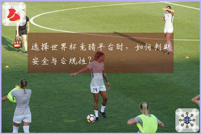 选择世界杯竞猜平台时，如何判断安全与合规性？