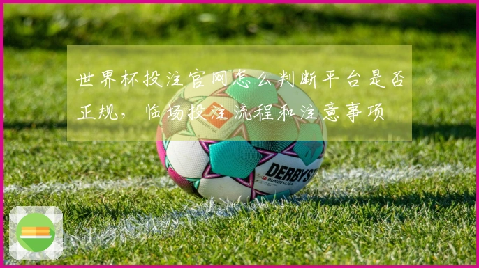 世界杯投注官网怎么判断平台是否正规，临场投注流程和注意事项