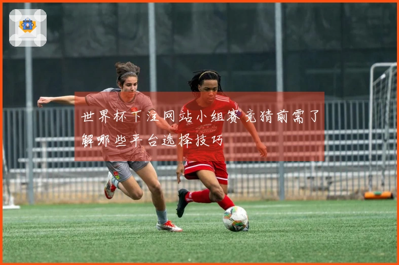 世界杯下注网站小组赛竞猜前需了解哪些平台选择技巧
